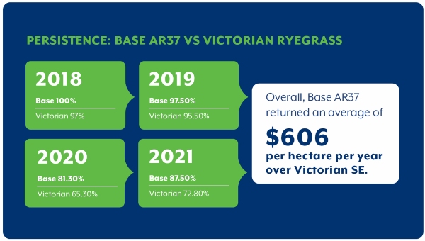 Persistence Base AR37 vs Victorian Ryegrass